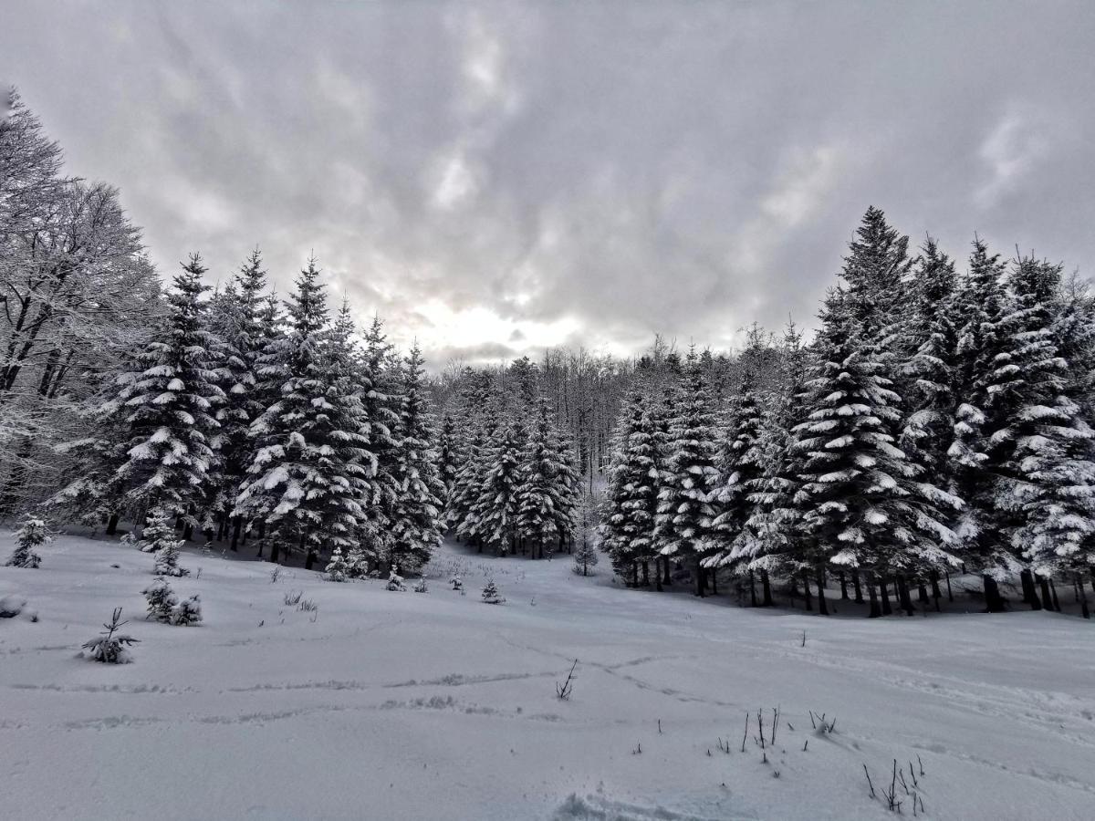 Great Mountain B&B Platak Eksteriør billede