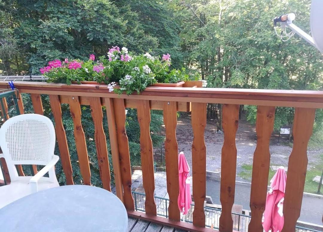 Great Mountain B&B Platak Eksteriør billede